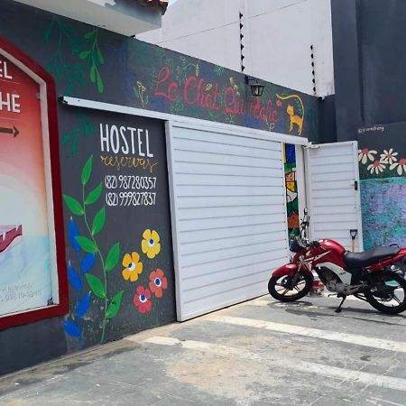 "Le Chat Qui Peche" Hostel A 150 Metros Da Praia De Pajucara Maceio (Alagoas) Exterior photo